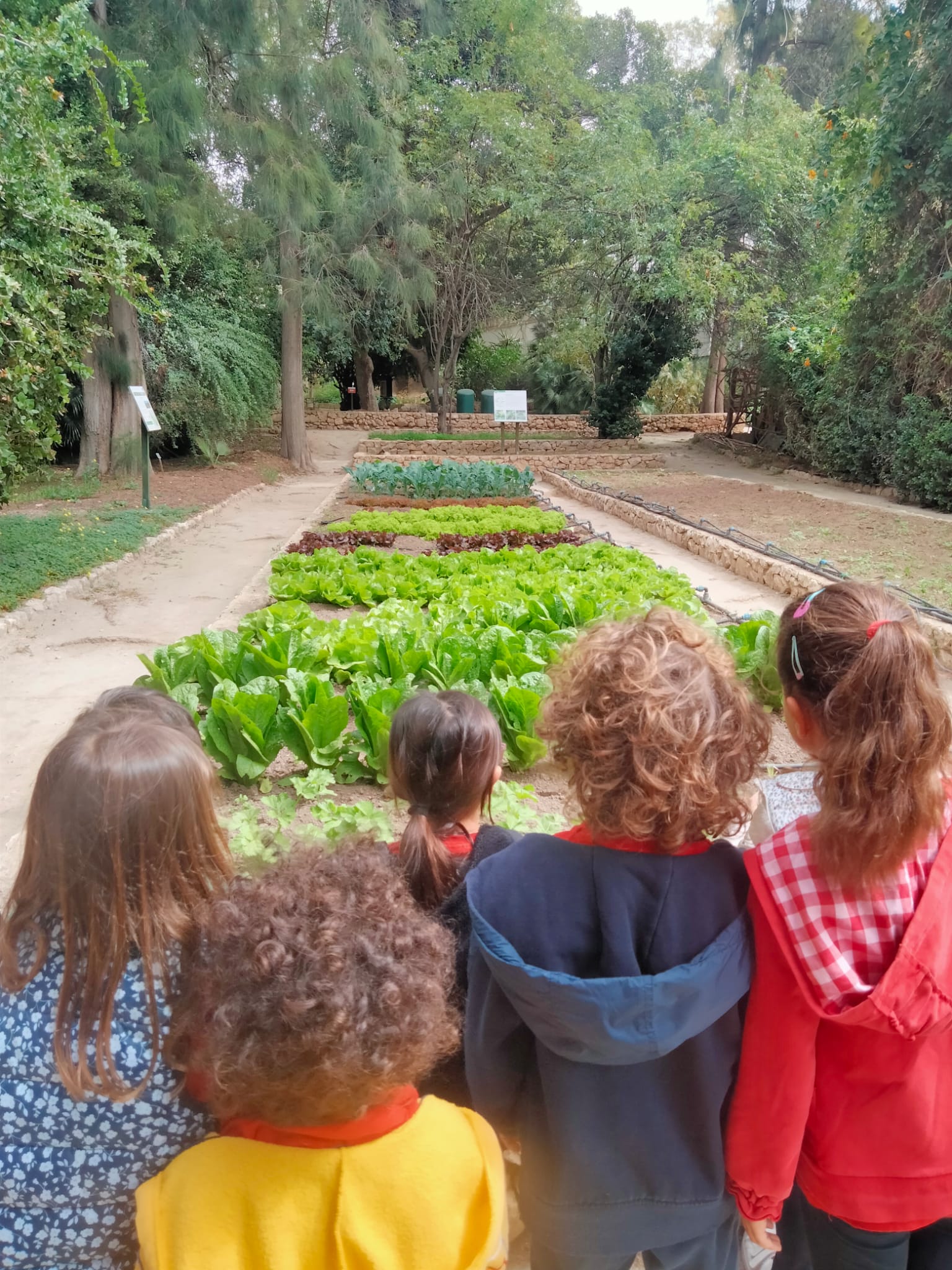 Torna l'Orto Elfico dell'Infanzia e della Primaria Satta