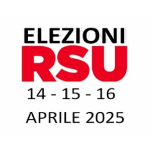 C_141 Elezione RSU